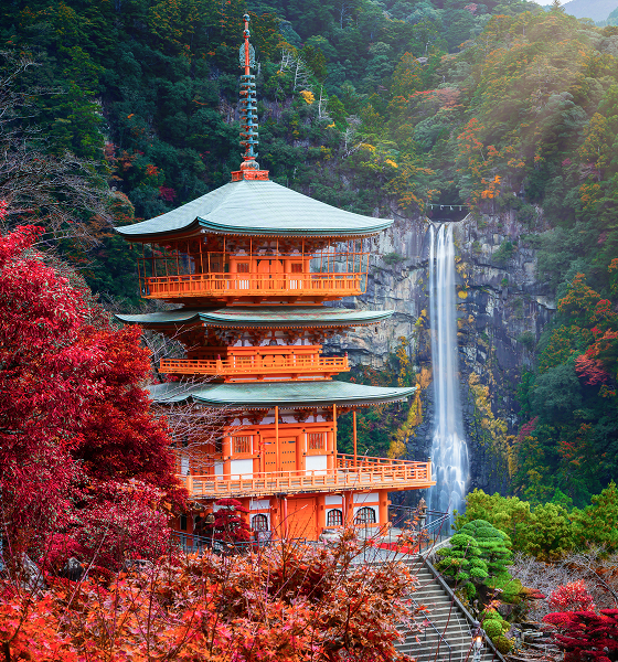 和歌山　貸切ハイヤー